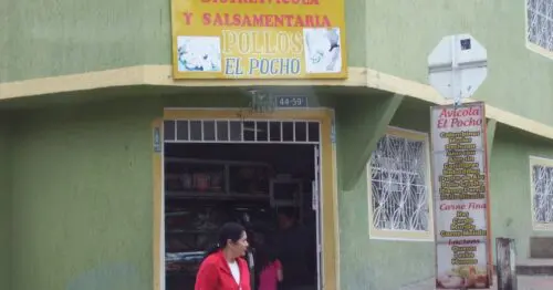POLLOS EL POCHO POLLOS EL POCHO